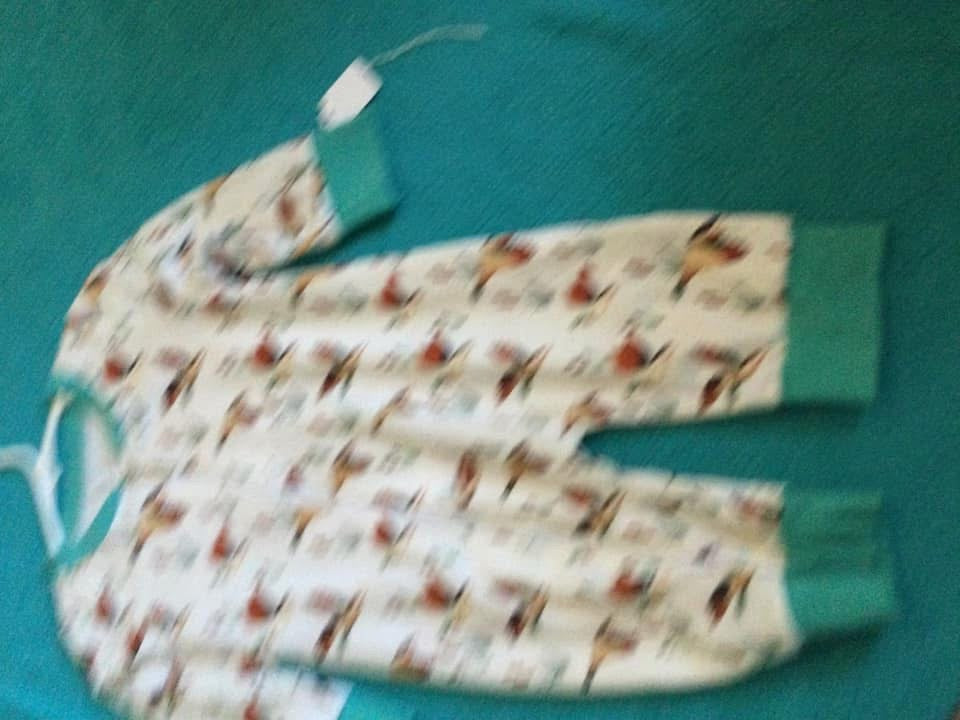 Teal duck Romper